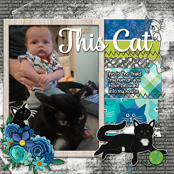 elphie-finn-6-weeks