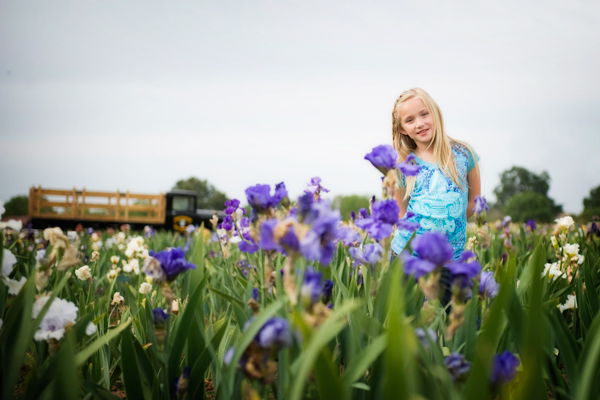 Elyse Iris Garden