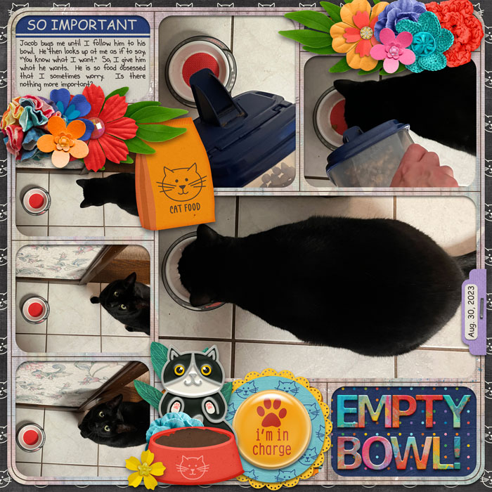 Empty Bowl!