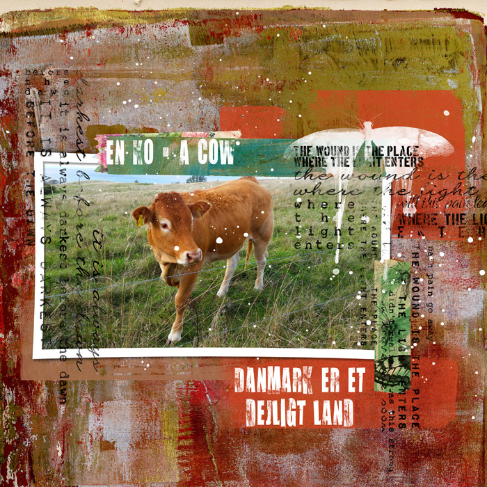 En KO - A COW