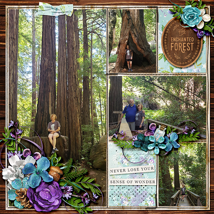 Enchanted Forest