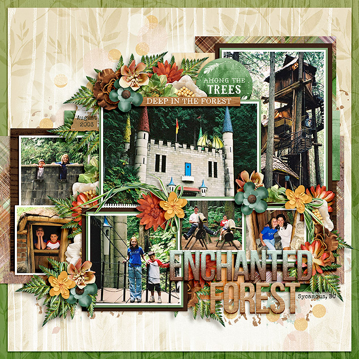 Enchanted Forest