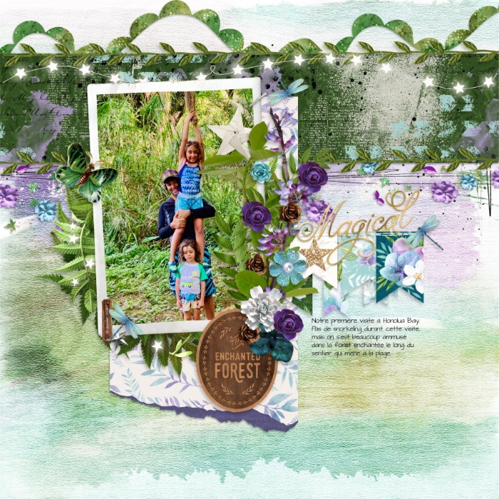 Enchanted Forest