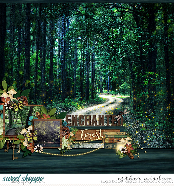 Enchanted Forest
