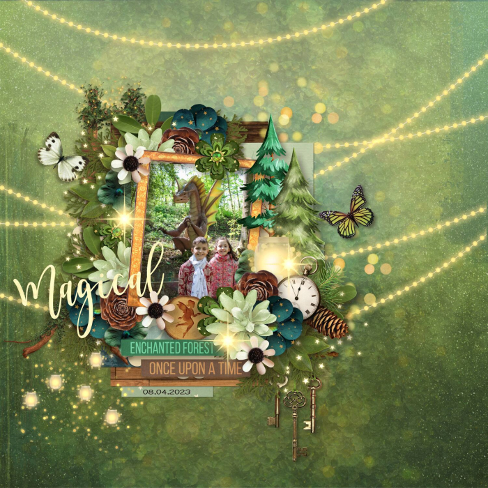 Enchanted Forest