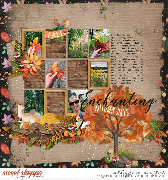 Enchanting Autumn Days