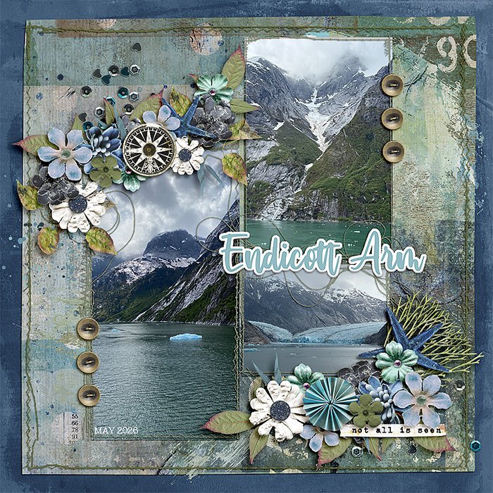 Endicott Arm Alaska