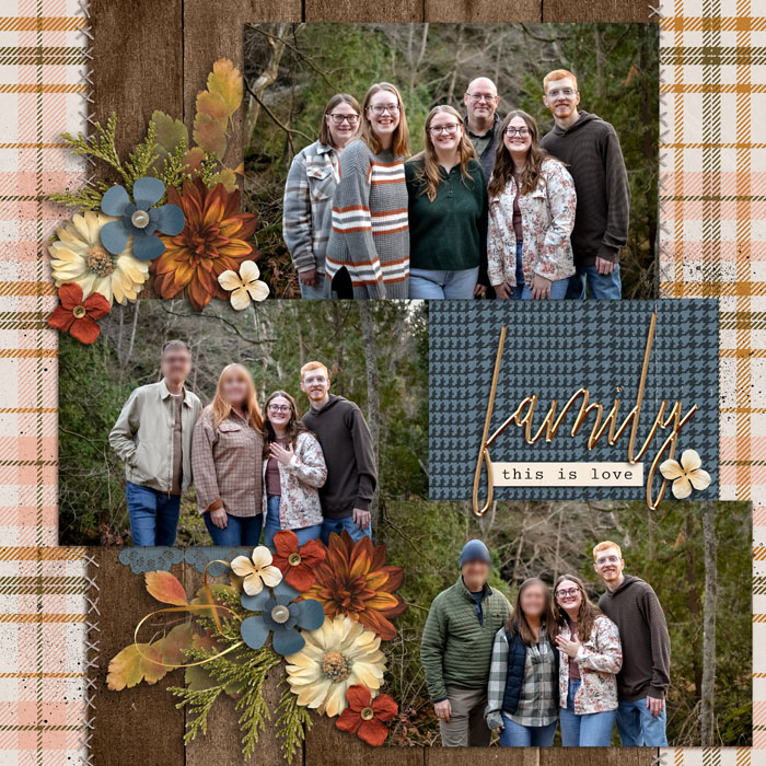 Engagement Family