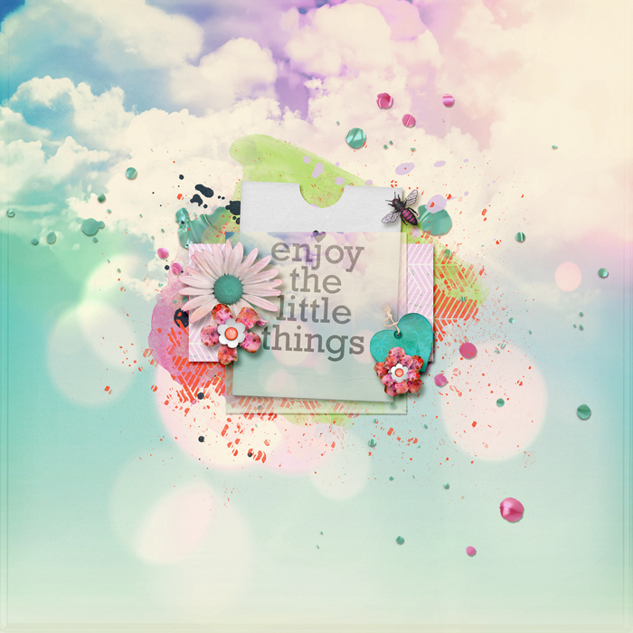 Enjoy The Little Things
