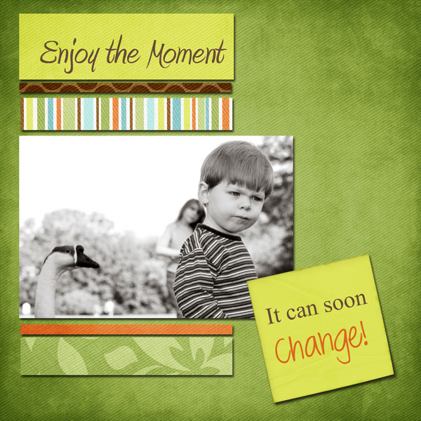 Enjoy the Moment