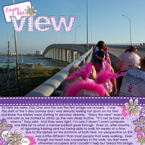 Enjoy the View