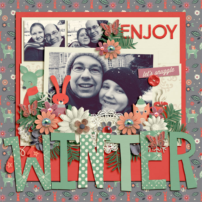 Enjoy Winter