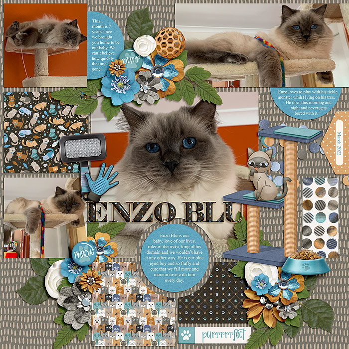 EnzoBlu