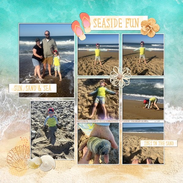 Escape and Sand and Seashells.jpg
