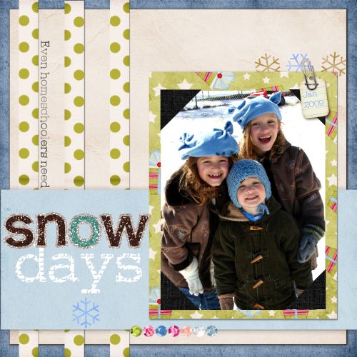 Even homeschoolers need snow days