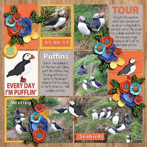 Every Day I'm Pufflin/
