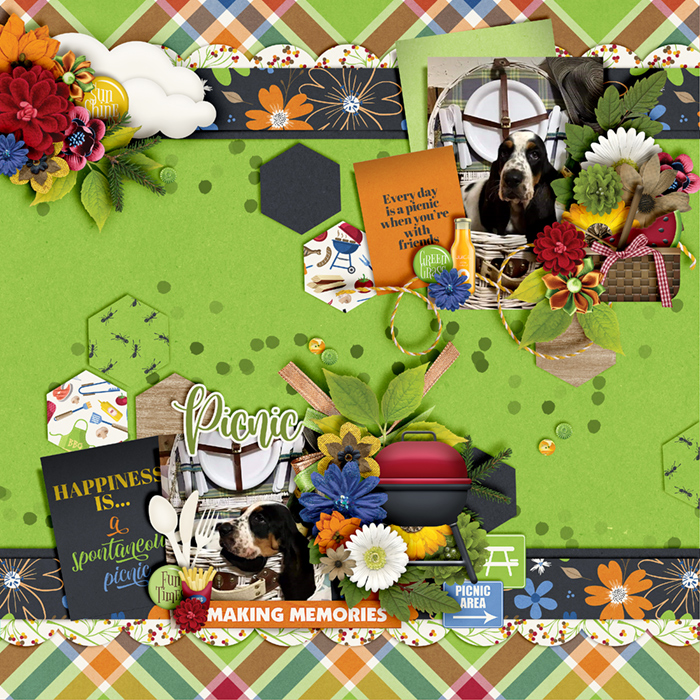 Every day is a picnic