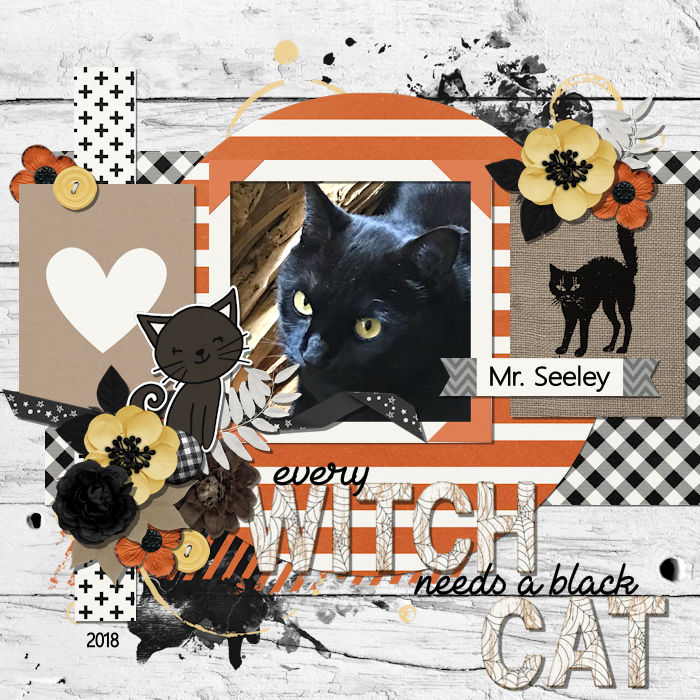 every WITCH needs a black CAT