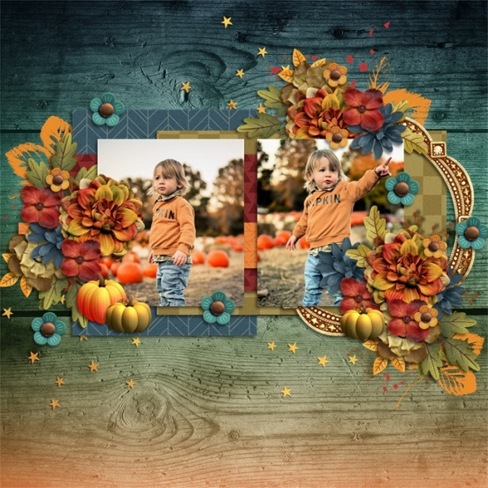 Everyday_Moments_November