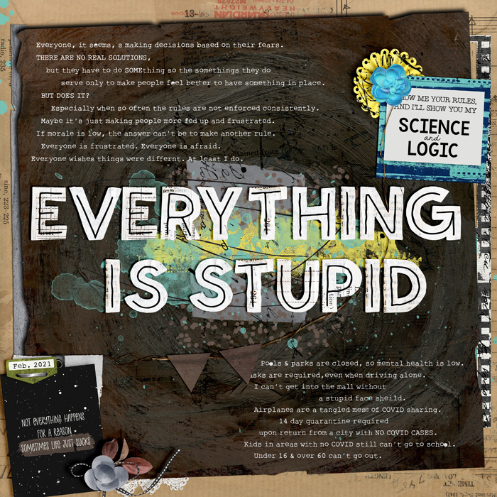 Everything Is Stupid