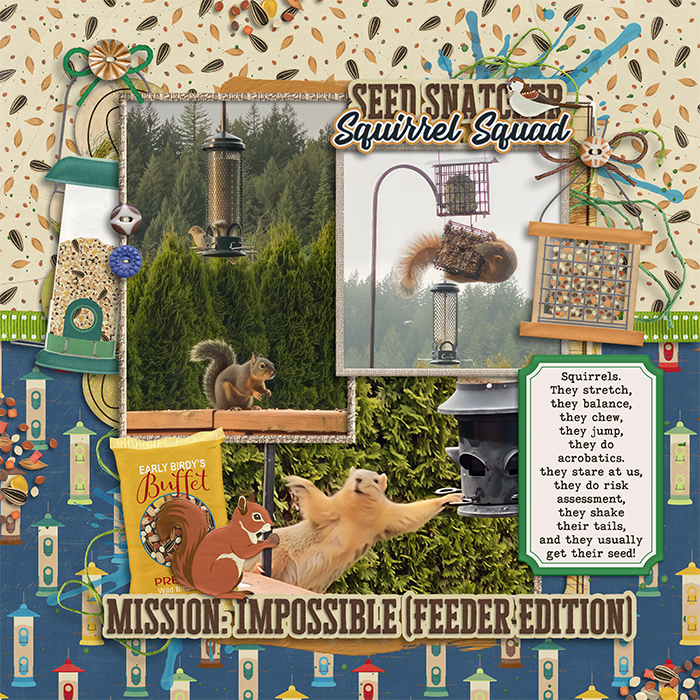 Evolved for Seed Heists - Backyard Squirrels