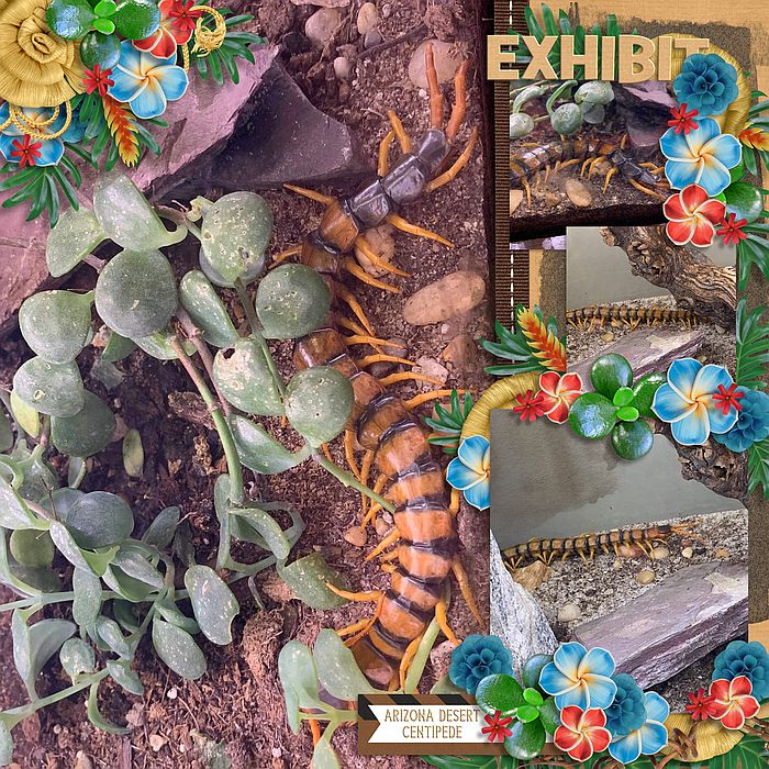 Exhibit