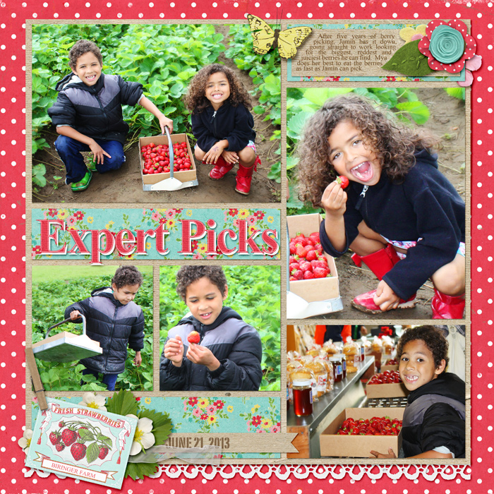 Expert Picks
