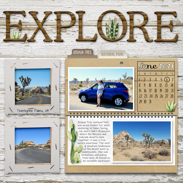 Explore Joshua Tree National Park