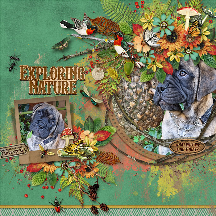 Explore More