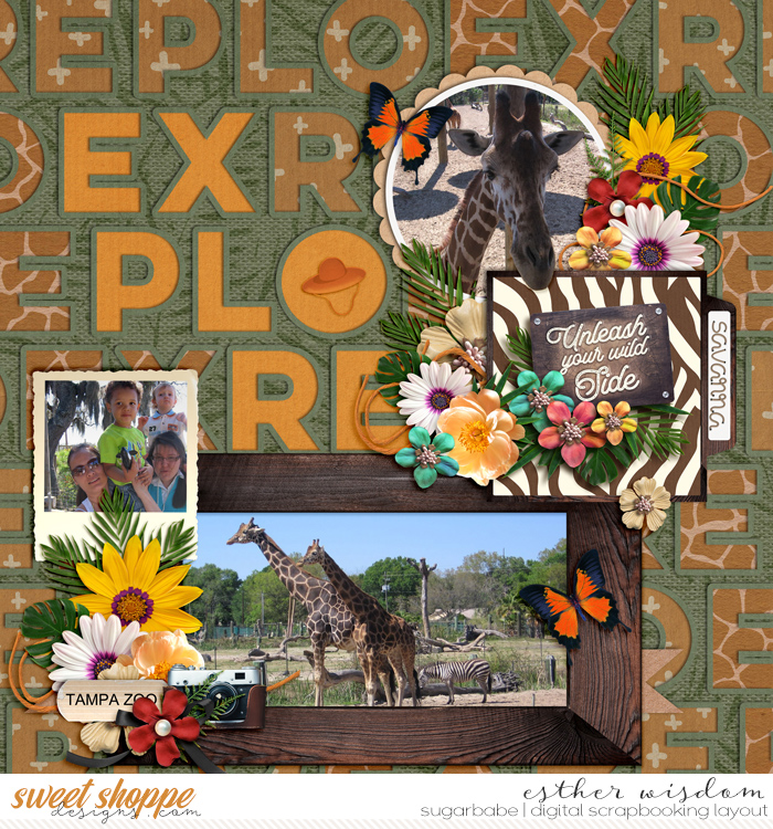 Explore-Tampa Zoo