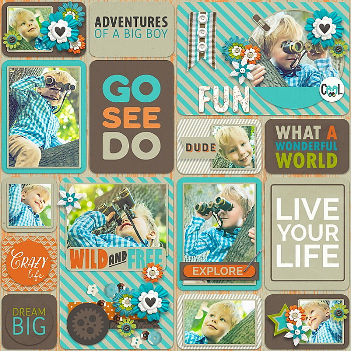 Exploring Life