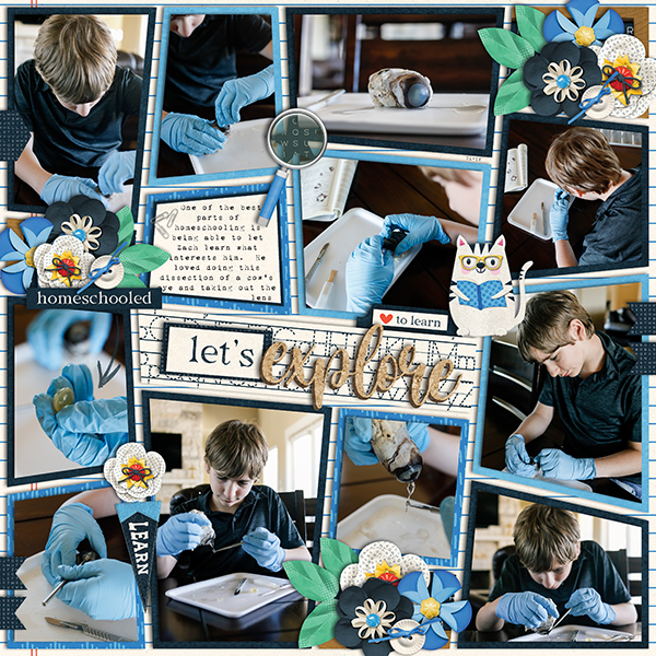 Exploring Science