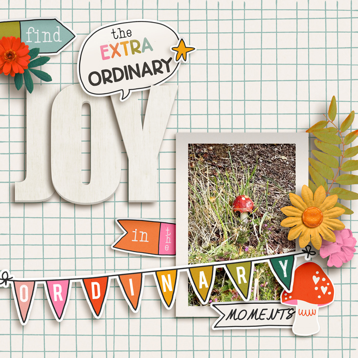 Extraordinary Joy