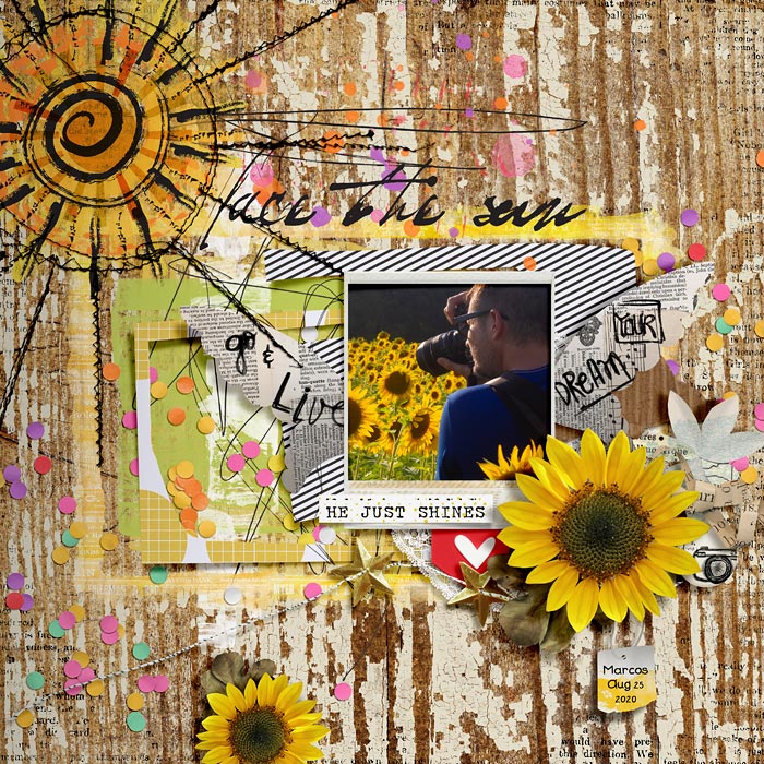 Face the Sun