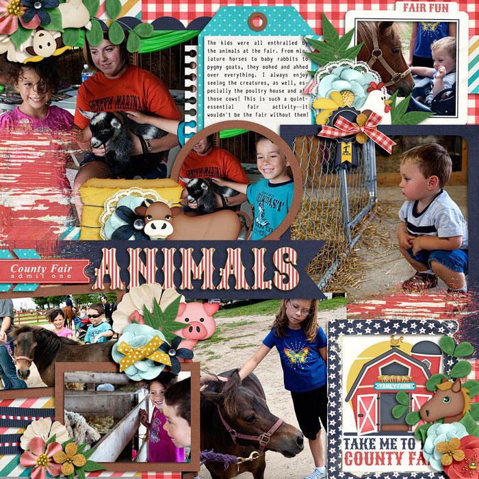 Fair animals