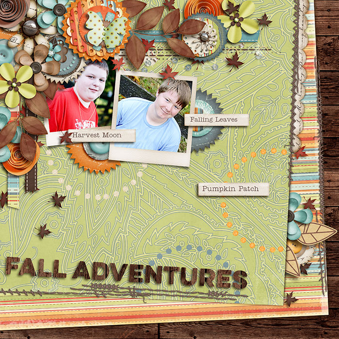 Fall Adventures