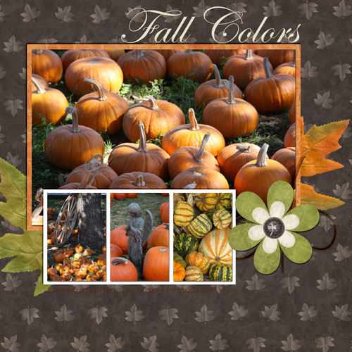 Fall Colors