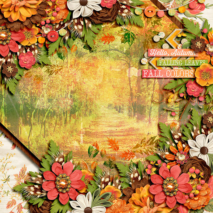 Fall Colors