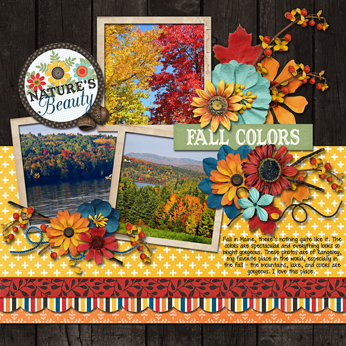 Fall Colors