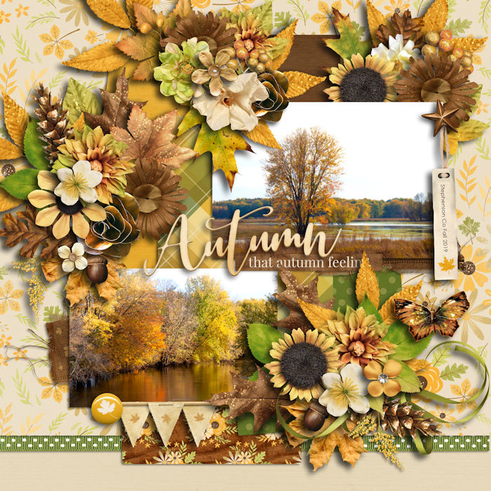 Fall Colors