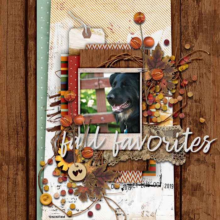 Fall Favorites