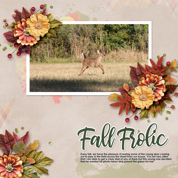 Fall Frolic