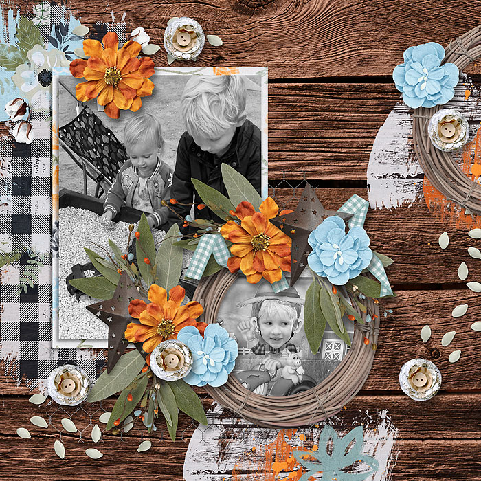 Fall Fun