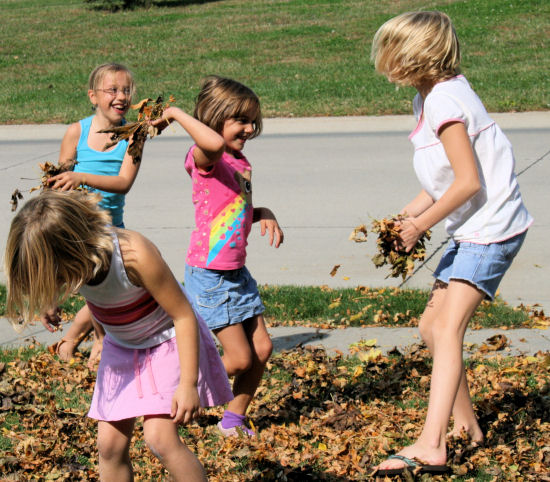 Fall Fun
