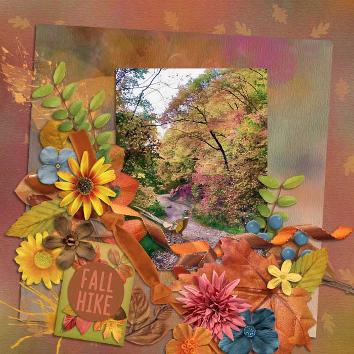 Fall Hike