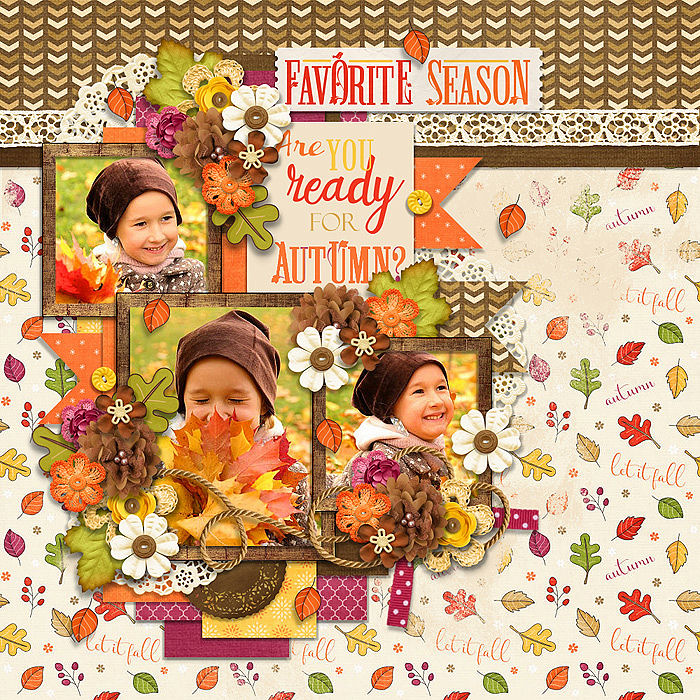 Fall Into Autumn