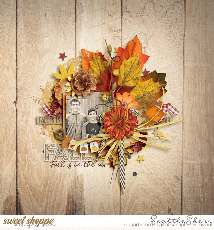 Fall is in the air