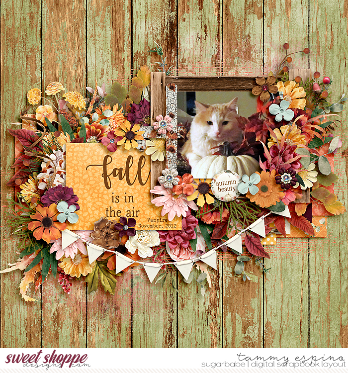 fall is in the air