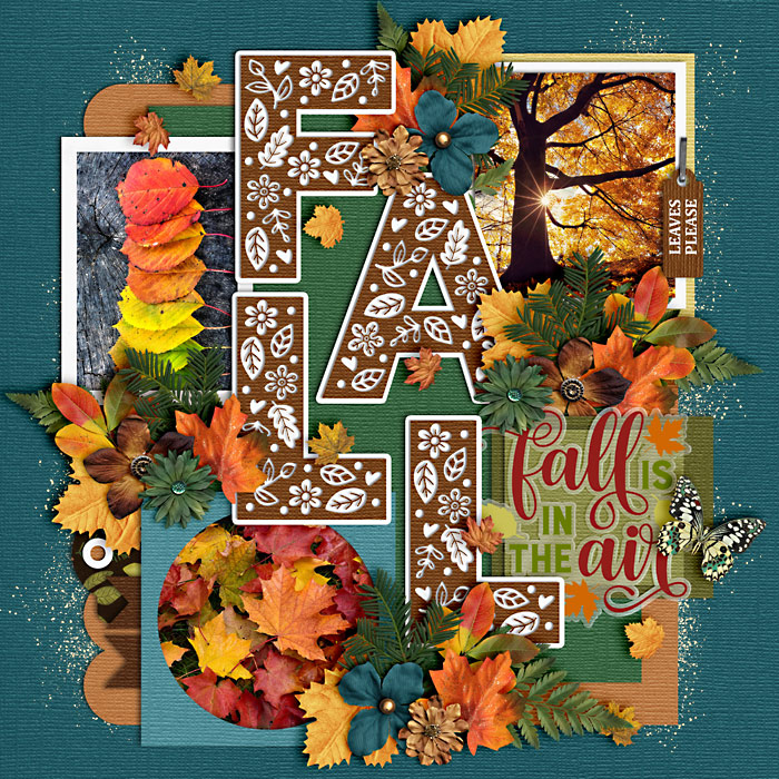 Fall is in the Air