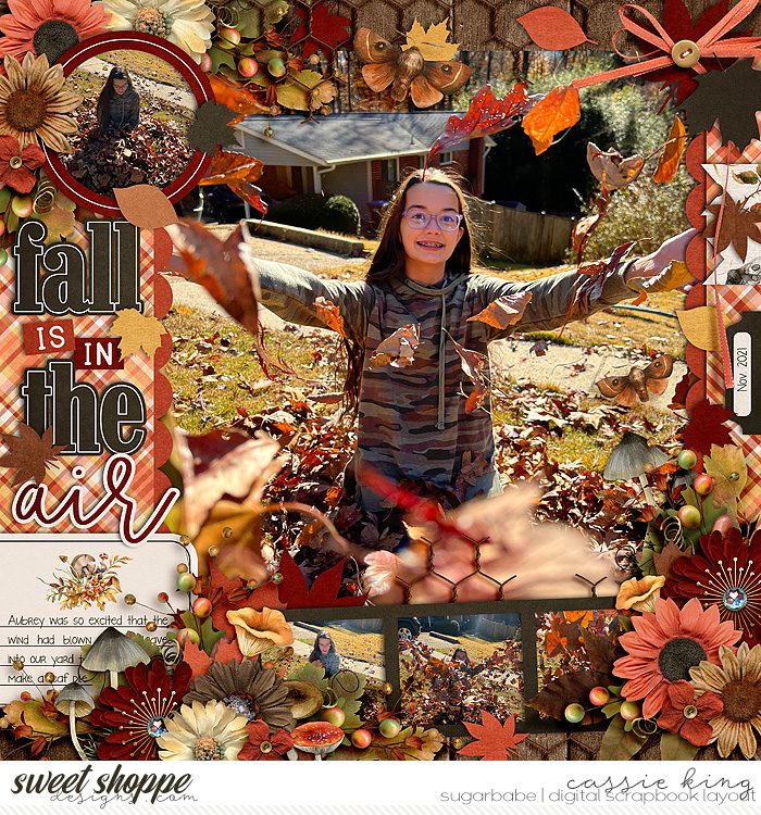Fall is in the Air